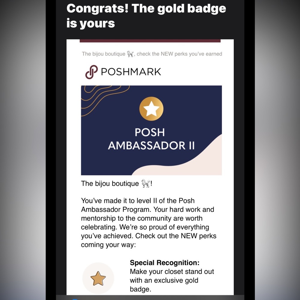 ⭐️Posh Ambassador II ⭐️ - Picture 2 of 16